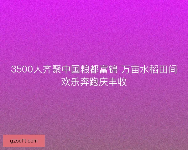 3500人齐聚中国粮都富锦 万亩水稻田间欢乐奔跑庆丰收